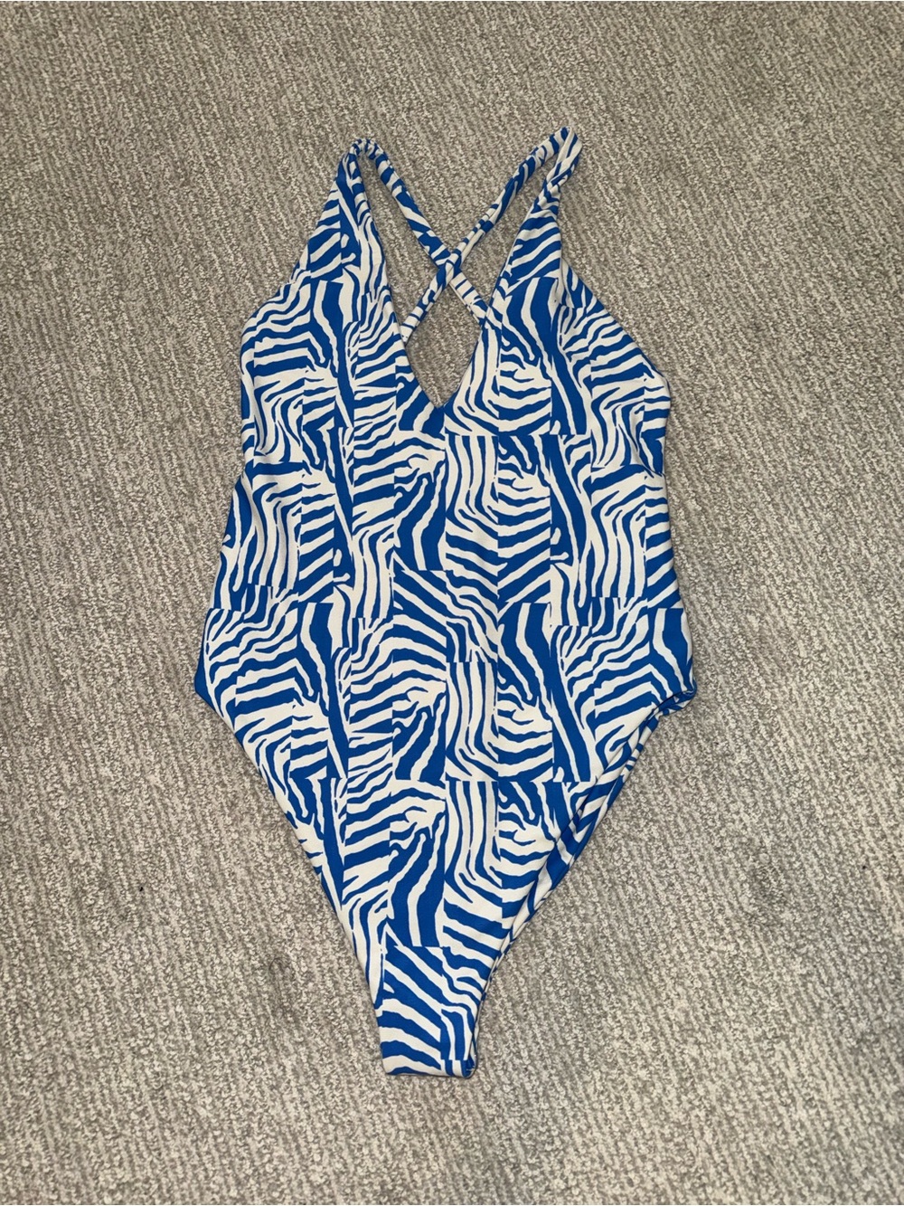 Skatie Blue and White Zebra-Print One-Piece Swimsuit